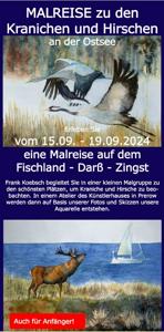 Malreise zu den Kranichen und den Hirschen an der Ostsee  | Aquarell